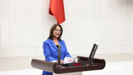 CHP Ankara Milletvekili Aliye Timisi Ersever: ‘Zeytin sadece ağaç değil, bu toprağın belleğidir; geçmişi ve geleceği yok ediyorsunuz’